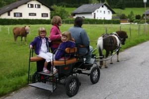 Das Pony Emil zieht den Wagen - Liebe Angela, danke für die Ausfahrt!