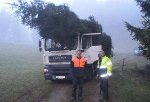 Im Morgennebel wird der Baum transportiert