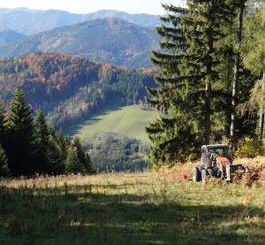 Pistenmulcher oberhalb des Steilhanges