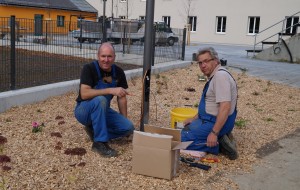 Damit uns ein Licht aufgeht - modere Leuchmittel im Schulhof