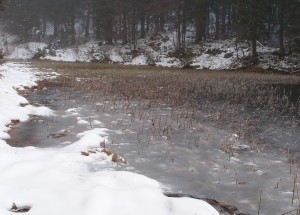 Der Winter ist nicht mehr weit!