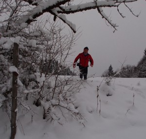 Ca. 40 cm Schnee liegen beim See