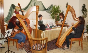 Die "Rund um den Zürnerberg Musi" spielte auf