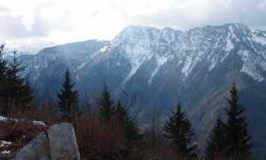 Neuschnee am Hetzkogel