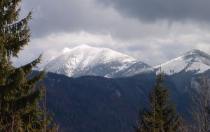 Blick auf den Ötscher von der Zinkenpiste