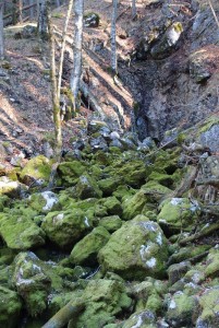 Kein Wasser im Lochbach - normal für diese Jahreszeit