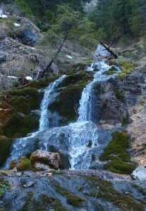 Schon in der Früh - Schmelzwasser im Lechnergraben