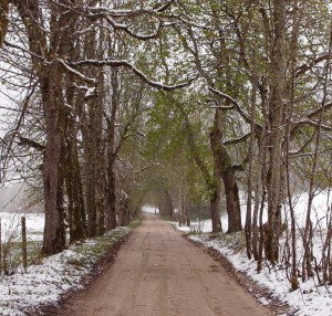 Frühling gegen Winter in der Lend