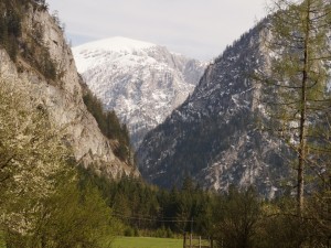 Blick vom Hof auf die Hohe Weichsel