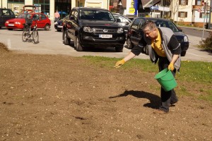 Neuer Rasen vor der Volksschule