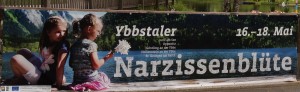Ybbstaler Narzissenblüte