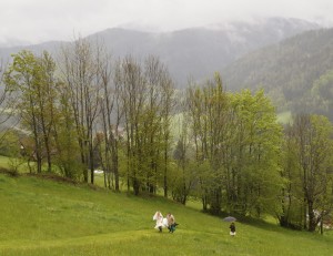 Die Braut auf dem Weg zur Trauung