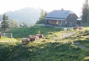 Kräuterinhütte in der Morgensonne