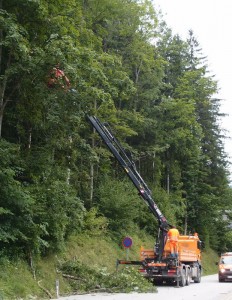 Baumschnitt auf der Steinbauernhöhe