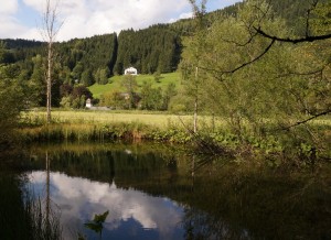 Schlossleiten