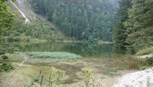 Nach dem Regenwetter der letzten Wochen ist der Mittersee klar und  gut gefüllt!