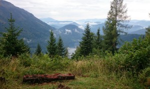 Nebel und Wolken werden weiniger