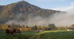 Herrlicher Herbsttag beim See