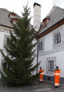 Fritz und Fritz beim Aufstellen unseres Christbaumes