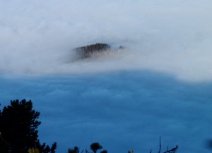 Zinken im Nebelmeer