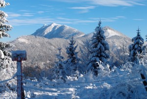 Schöne Winterlandschaft am Ötscher