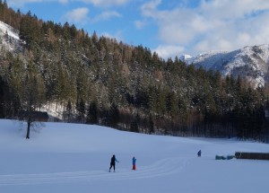 Viele Langläufer waren auf der Seeauloipe unterwegs