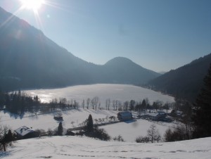 Wieder zurück im Seehof