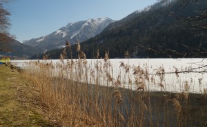 Weils so schön ist - See zwischen Frühling und Winter