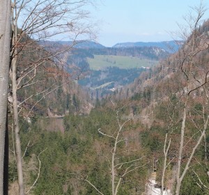 Blick auf die Rehbergweide