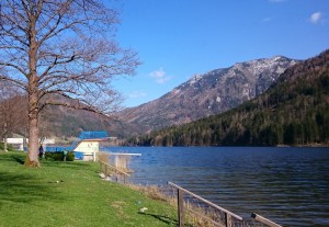 Am Untersee kann man den kommenden Frühling erahnen