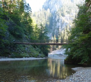 Fangbrücke