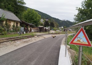 Die ersten Gefahrenzeichen bei Alis Ranch sind angebracht