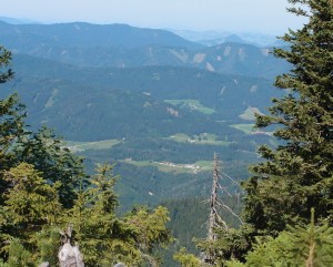 Kogl vom Hirzeck gesehen