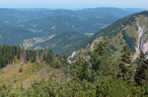 Blick über den Lechnergraben nach Lunz