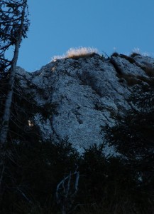 Licht und Schatten in der Rinne