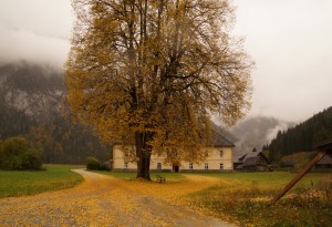 Goldener Herbst in Rotmoos